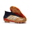 adidas Predator 19.1 FG Fotbollsskor - Guld Röd Silver