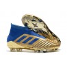adidas Predator 19+ FG Fotbollsskor för Män - Guld Blå